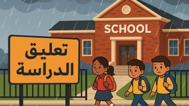 محافظات تعطيل الدراسة في مصر الثلاثاء 9 ديسمبر 2025