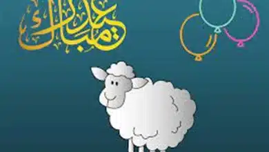 متى يبدأ التكبير بعد الصلوات في عيد الأضحى