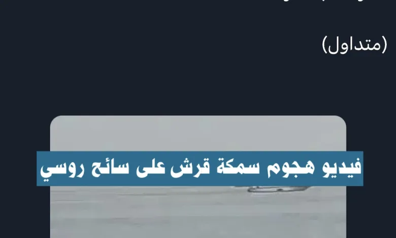هجوم سمك القرش في الغردقة