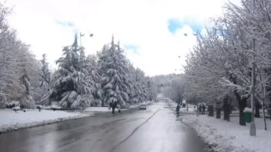 متى يبدا الشتاء في الكويت