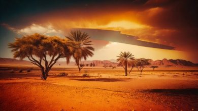 حالة الطقس اليوم السبت 24 /5/ 2025