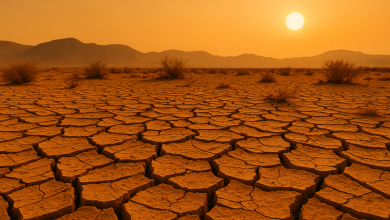 متى تاريخ موعد اليوم العالمي لمكافحة التصحر والجفاف 2025