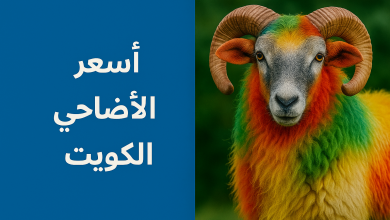 أسعار الأضاحي في الكويت 2025/ 1446
