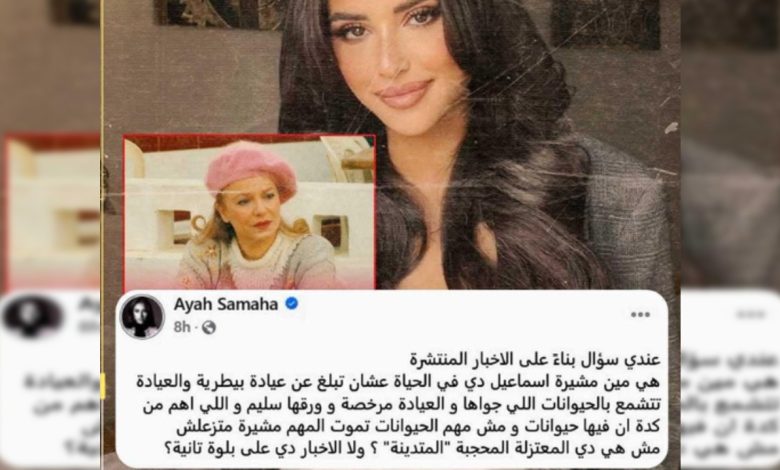 قصة أزمة مشيرة إسماعيل وآية سماحة