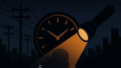 حقيقة فصل التيار عن مناطق زراعية وصناعية بالكويت اليوم الأحد 25 مايو 2025