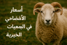 أسعار الأضاحي في الجمعيات الخيرية 2025 – 1446