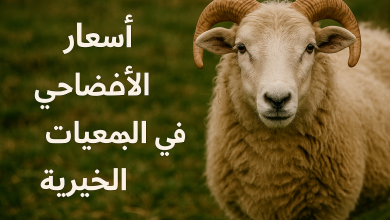 أسعار الأضاحي في الجمعيات الخيرية 2025 – 1446