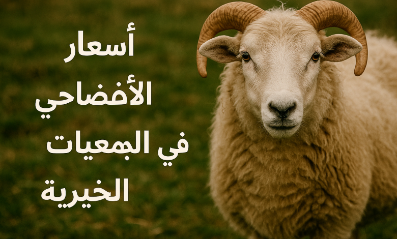 أسعار الأضاحي في الجمعيات الخيرية 2025 – 1446