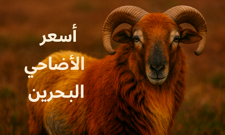 أسعار الأضاحي في البحرين 2025/ 1446