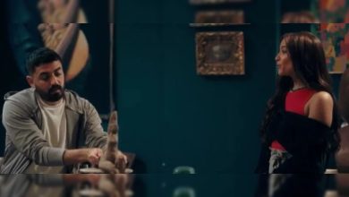 عدد حلقات مسلسل عهد أنيس