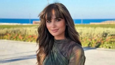 من هي نانسي نور زوجة تامر عاشور ويكيبيديا السيرة الذاتية