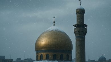 حالة الطقس في العراق ديسمبر 2025