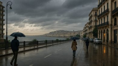 توقعات الطقس في الجزائر غدًا السبت 8 نوفمبر 2025