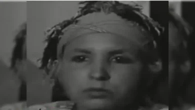 من هي الفنانة وردة أمل ويكيبيديا السيرة الذاتية