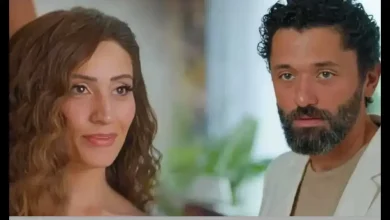 حقيقة انفصال دينا الشربيني عن كريم حمود عبد العزيز