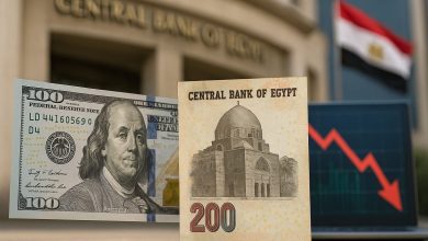سعر الدولار اليوم في مصر الجمعة 12 ديسمبر 2025