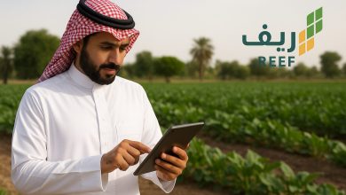 رابط التقديم في دعم ريف 1447/ 2026