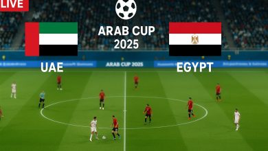 مباراة الإمارات ومصر