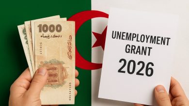 منحة البطالة 2026 في الجزائر